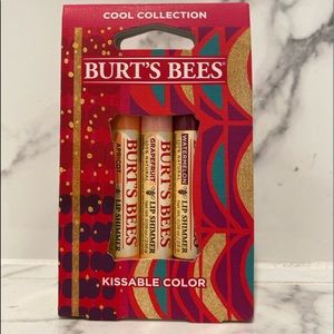 *New* Burts Bees Lip Shimmers
